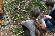 Menschen gucken auf ein mit Schnur abgestecktes Quadrat Waldboden