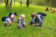 Sieben spielende KInder auf einer Wiese