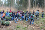 Viele Kinder graben junge Bäume ein