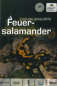 Titelbild des Buches Feuersalamander