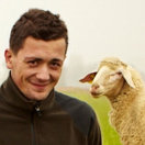 Mann; im Hintergrund schaut ein Schaf ins Bild