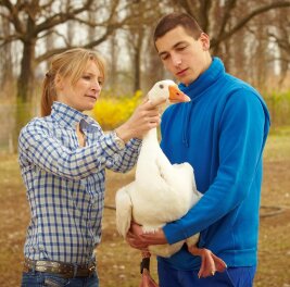 Auszubildender beurteilt eine Gans