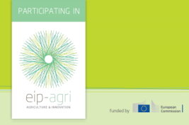 Europäische Innovationspartnerschaft (EIP) Agri