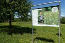 Schautafel zum Thema Artenreiches Grünland auf dem Gelände der LfL in Freising.