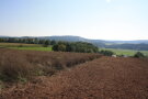 Blühfläche und Neuansaat im Herbst