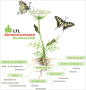 grafische Darstellung der Stationen des LfL-Aktionsrucksackes Biodiversität