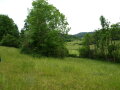 Parkartige Landschaft mit Wiesen und Hecken