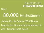 Bayerischer Streuobstpakt: Über 80.000 Hochstämme stehen für die Saison 2025/26 aus bayerischer Baumschulproduktion für den Streuobstpakt bereit.