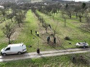 Luftaufnahme einer Streuobstwiese. Eine Person auf einer Leiter schneidet einen Baum, andere Personen sehen zu. 