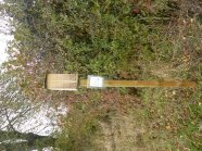 Nisthilfe im Herbst