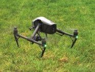 Drohne im Gras