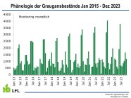 Jahreszeitliches Auftreten der Graugänse vom Januar 2015 bis Dezember 2023