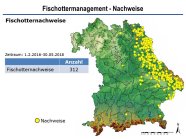 Landkarte von Bayern. Mit gelben Punkten sind die Fischotternachweise eingetragen.