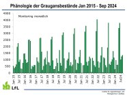 Jahreszeitliches Auftreten der Graugänse vom Januar 2015 bis September 2024