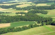 Blick aus der Luft auf Landschaft mit unterschiedliche Feldern