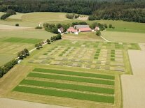 Luftbild auf landwirtschaftliche, kleinteilige Versuchsparzellen, im Hintergrund ein Wirtschaftsgebäude
