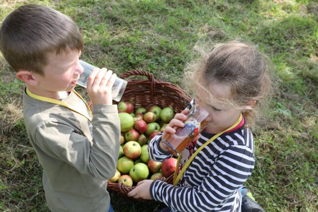 Kinder trinken frischen Streuobstsaft aus selbst gesammelten Äpfeln
