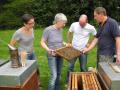 Bauer-zu-Bauer-Gespräch auf dem Bienenhof Pausch 