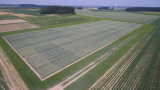 Luftbild des Weizenversuchs am ersten Standort am 27.06.2019