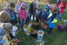 Gemeinsam anpacken bei der Apfelernte, Foto: B. Stadlinger
