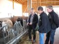 Bauer-zu-Bauer-Gespräch auf dem Milchviehbetrieb Hartinger