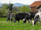 Cilly und Richard Haneberg auf der Weide mit Kühen und Berge im Hintergrund