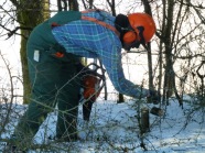 Person in Schutzkleidung arbeitet mit der Motorsäge an einer Hecke im Winter