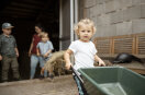 Kleine Kinder helfen auf einem Bauernhof bei der Stallarbeit