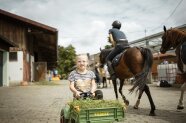 Mädchen fährt einen Spielzeugfranktor auf dem Bauernhof