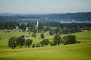Landschaft mit Wiesen, Wäldern und einzelnen Häusern