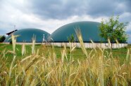 Getreide wächst vor einer Biogasanlage