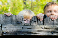 Kinder schauen über einen Holzzaun.