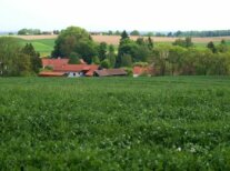 Landschaftsbild Bayern kleine Ortschaft im Grünen 