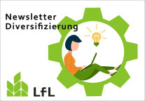 Anmeldung zum Newsletter bildlich mit einer gezeichneten Frau, die am Laptop schreibt.