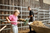 Mädchen hilft bei der Bauernhofarbeit