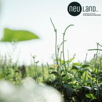 Augenbohnenpflanzen in Großaufnahme auf dem Feld mit dem Logo von NEU.LAND.