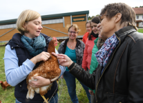 Frauengruppe mit Huhn