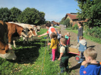 Der Bauernhofkindergarten schafft Kontakt zu Lebensmittel, Natur und Tieren