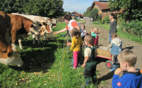 Der Bauernhofkindergarten schafft Kontakt zu Lebensmittel, Natur und Tieren.