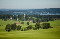 Landschaft mit Wiesen, Wäldern und einzelnen Häusern