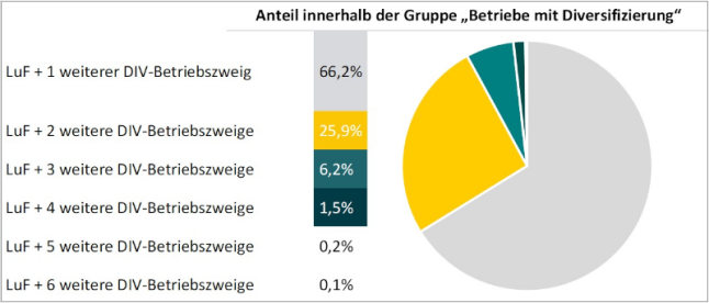 Tortendiagramm: prozentuale Anteile von Betriebszweigen innerhalb der Gruppe von Betrieben mit Diversifizierung.