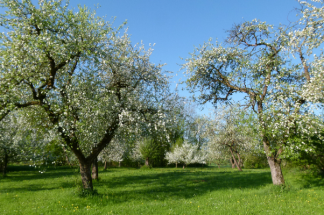 Bayerische Landesanstalt Für Landwirtschaft - LfL