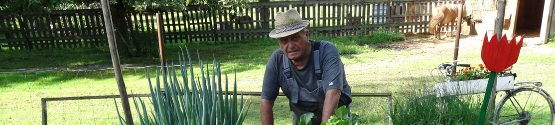Älterer Herr mit Hut und Latzhose, kurzärmeliges Hemd, steht im Garten hinter einem Hochbeet.