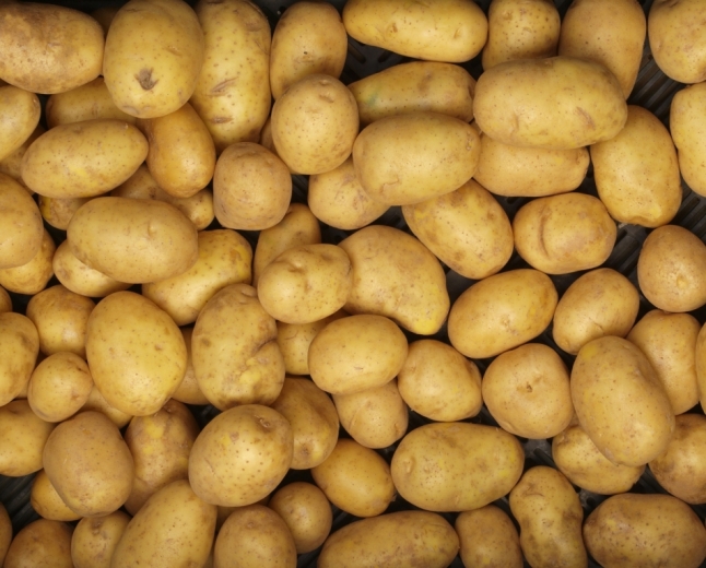 Kartoffel: Premium, Mindestniveau +, trocken