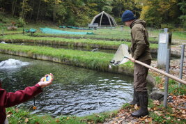 Zeitnahme bei Teichbesatz