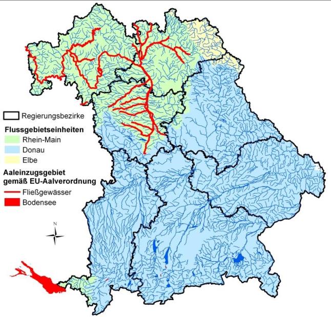 Grafik Bayernkarte Geltungsbereich der EU-Aalverordnung in Bayern (rot) - Bodensee und Main mit den aalrelevanten Nebengewässern -