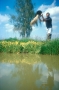 Mann schüttet einen Eimer Getreide in einen Teich