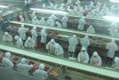 Lobsterverarbeitung Jiangsu Hilong, Huaian
