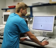Bestimmen der gescannten Zooplanktonproben am Computer