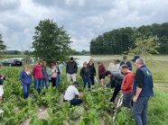 Menschen auf einem Feld.